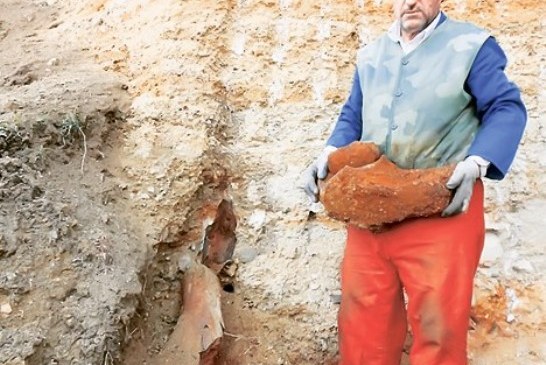 Otkriveni ostaci mamuta stari preko deset miliona godina