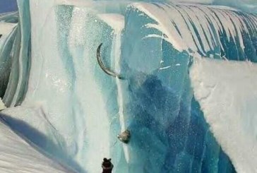 Jedna od najvećih svetskih misterija: U utrobi zaleđenih mamuta u Sibiru pronađeno je nesvareno tropsko bilje!