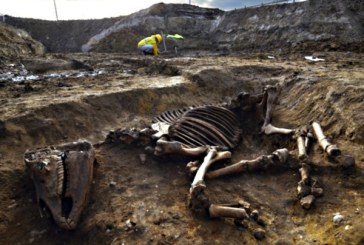 Na rimskom lokalitetu otkriven ceo konjski skelet