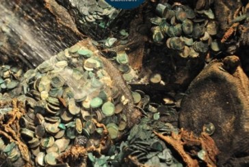 PRIČA KOJA PREVAZILAZI MAŠTU Lovci na blago na dnu okeana pronašli blago vredno 50 miliona dolara!