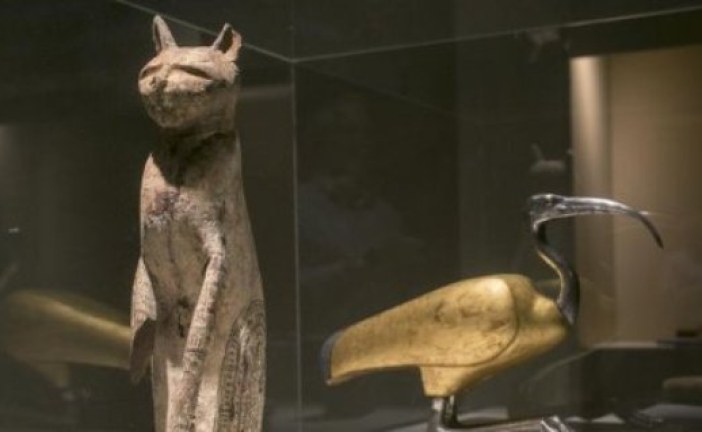 SKANDAL STARIH EGIPĆANA Skener životinjskih mumija otkrio vekovima staru prevaru