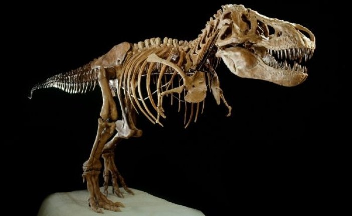 10 stvari koje niste znali o dinosaurima