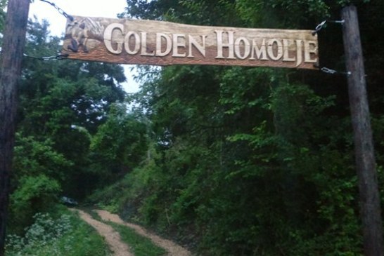 OTVOREN PRVI SVETSKI „ZLATNI CENTAR“