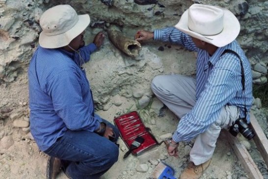 U Estoniji pronađeni ostaci drevnih brodova