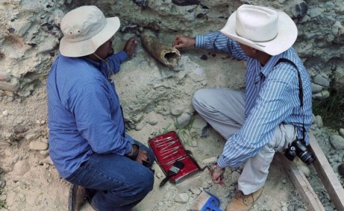 U Estoniji pronađeni ostaci drevnih brodova