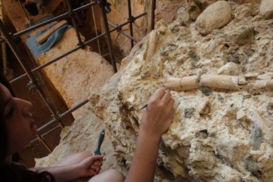 ČUDO OD DEVOJČICE: Arheolozi je primili da pomaže, a ona našla revolucionarno otkriće!
