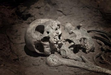 Rešena misterija masovne grobnice Napoleonovih vojnika