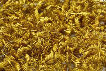 ZLATNA ENIGMA Zovu ih zlatne spirale, ali niko ne zna čemu služe