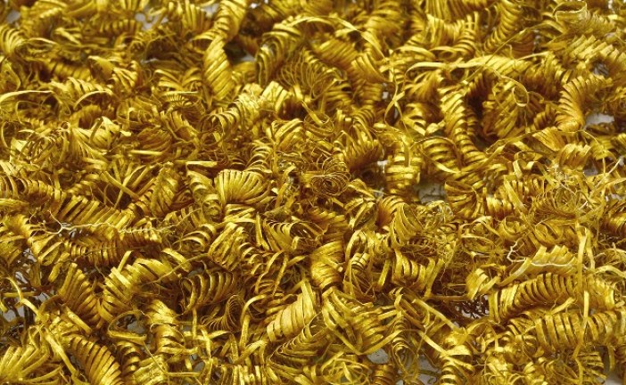 ZLATNA ENIGMA Zovu ih zlatne spirale, ali niko ne zna čemu služe