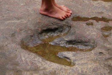 Otkrivena staza dinosaurusa u Nemačkoj!