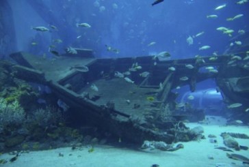 Zagonetka britanske olupine: Rešenje na pomolu nakon 350 godina?