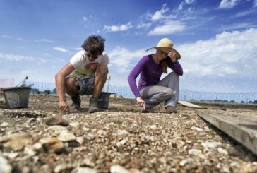 U Grčkoj pronađeni ostaci drevne mikenske palate