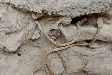 NEPROCENJIVO BLAGO Pronađen nakit i oružje stari 3.500 godina