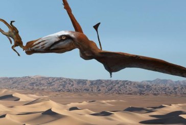 Pronađen fosil pterosaura koji je u zalogaju jeo krokodile