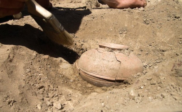 Arheolozi pronašli seme staro 800 godina. Posadili su ga, pa se šokirali onim što je izniklo!