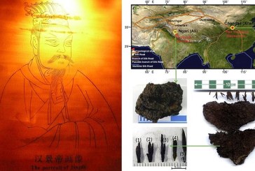 Kina: Pronađeni ostaci najstarijeg čaja u grobnici cara iz dinastije Han