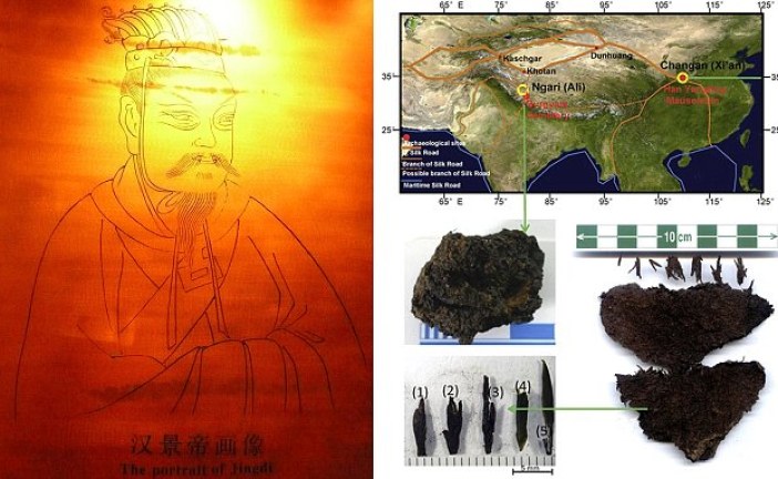 Kina: Pronađeni ostaci najstarijeg čaja u grobnici cara iz dinastije Han