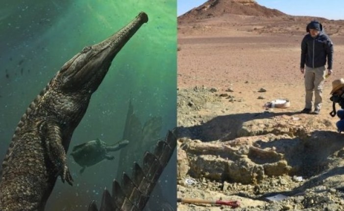 Naučnici u pustinji pronašli dosad najveći fosil reptila iz porodice krokodila