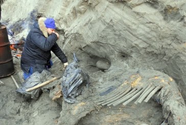 Ljudi su bili na Arktiku 10.000 godina pre nego što konvencionalna istorija tvrdi