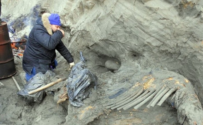 Ljudi su bili na Arktiku 10.000 godina pre nego što konvencionalna istorija tvrdi