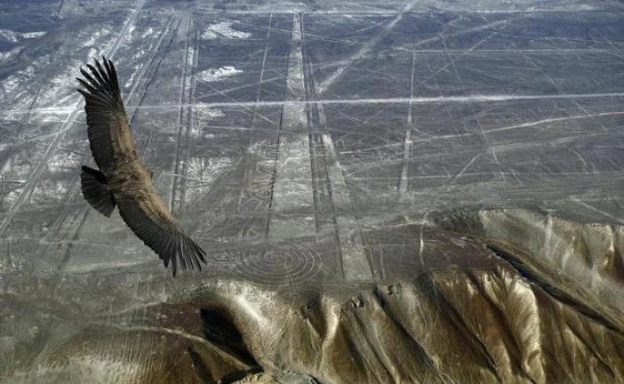 MISTERIJA KOJU NIKO NIJE REŠIO: Linije Palpe su 1.000 godina starije od linija Naska