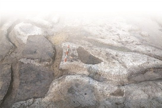 Arheolozi otkrili polje pirinča staro 8.000 godina