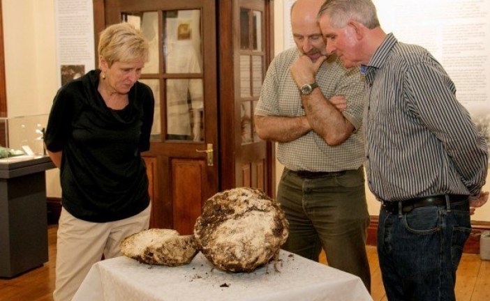 U Irskoj pronađena kugla putera stara 2000 godina i potpuno jestiva