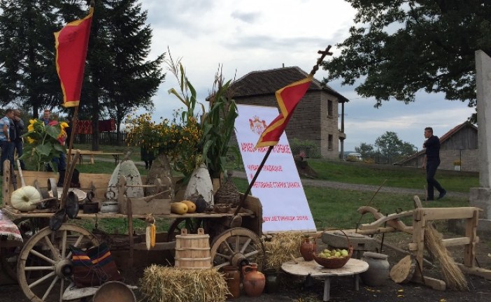 Нова акција Архео-аматера Србије