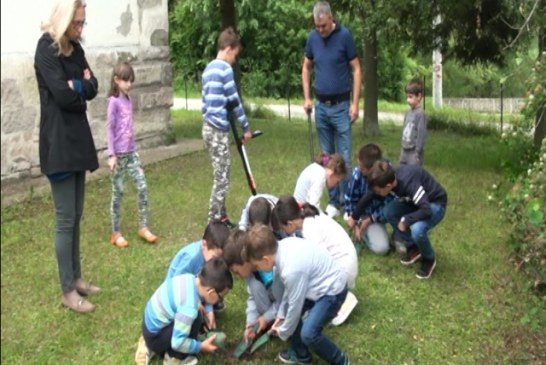 Arheo-amateri Srbije – Kreativna radionica pod nazivom „Istoriji u pohode“