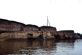 Gomolava