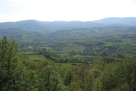 Kunovička bitka (1444)