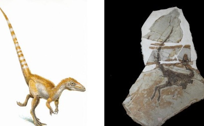 Sve boje dinosaurusa