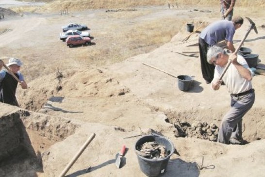 Kod Niša nađeni ostaci konja stari 4. 500 godina