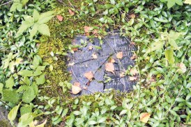 SRAMOTA: U Slovačkoj trenirali pse na grobovima naših junaka!