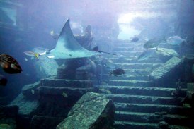 Bermudski trougao: Otkriven potonuli grad sa četiri gigantske piramide