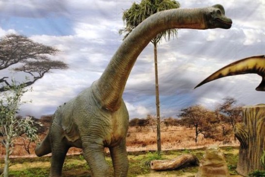 Otkrivena nova vrsta dinosaurusa – džinovski monstrum koji je hodao zemljom pre 100 miliona godina