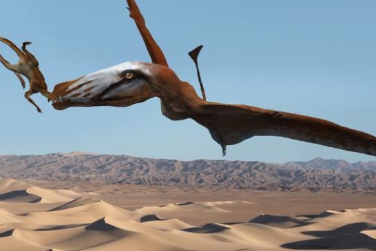 Pronađen fosil pterosaura koji je u zalogaju jeo krokodile