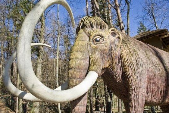 Mamut Ženja otkriva pravu starost čovečanstva