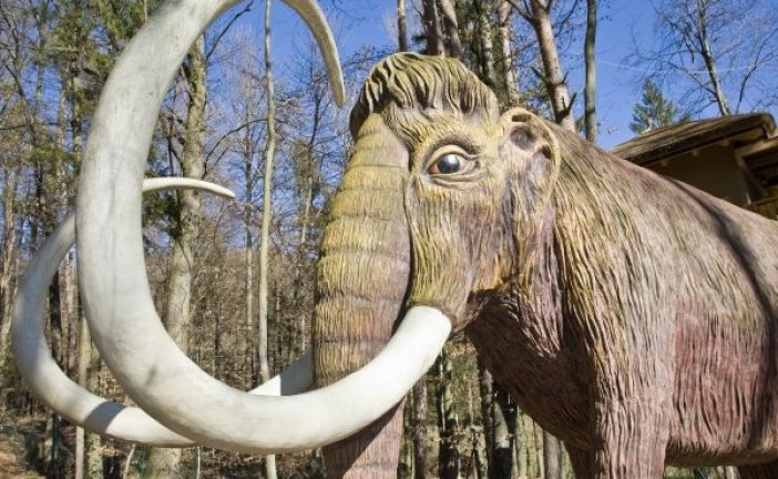Mamut Ženja otkriva pravu starost čovečanstva