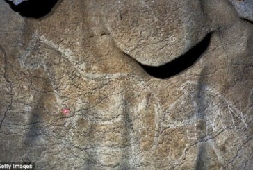Španija: Pronađeni pećinski crteži stari 14.500 godina