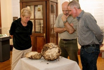 U Irskoj pronađena kugla putera stara 2000 godina i potpuno jestiva