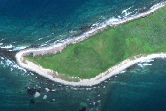 U Americi otkriven „ARHEOLOŠKI SVETI GRAL“